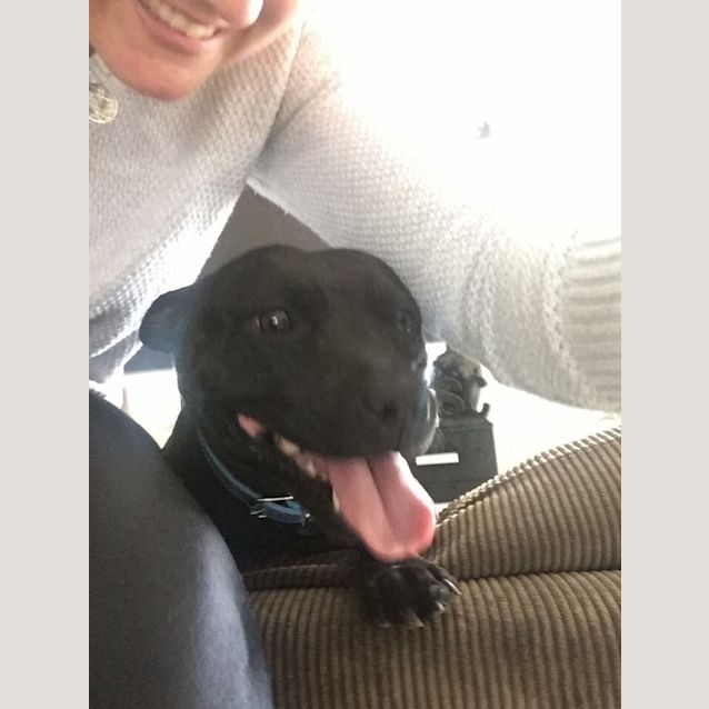 Photo of Lacey 