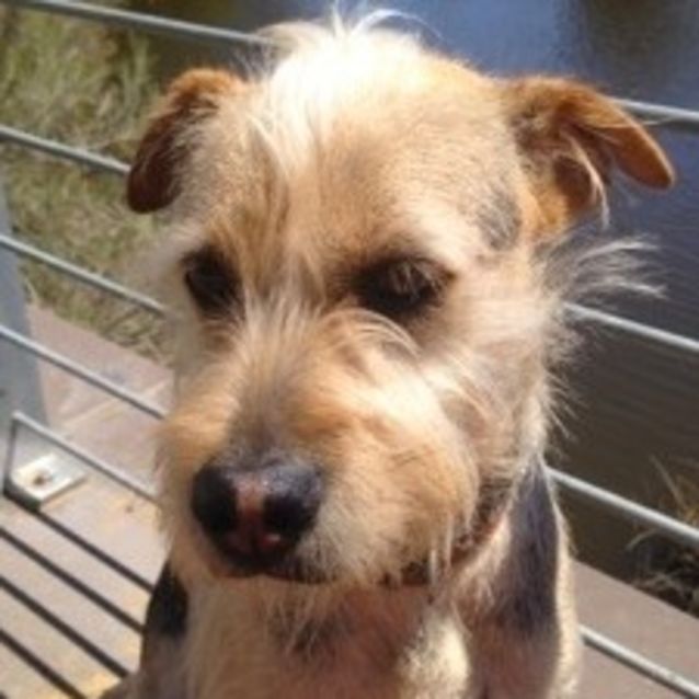 Photo of Peanut