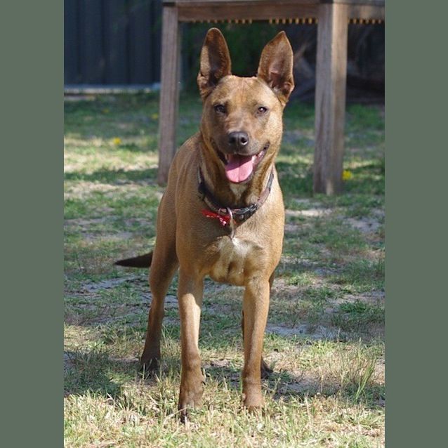 Photo of Nahla Ed0026