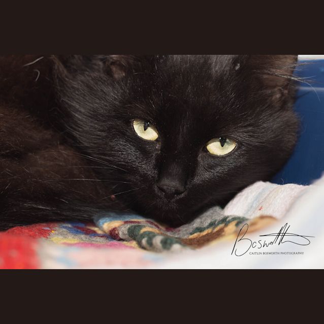 Photo of Spooky
