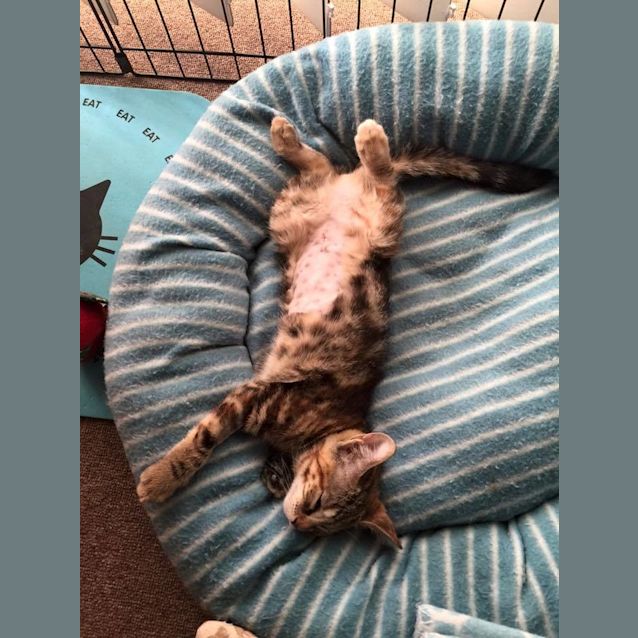 Photo of Lyric 