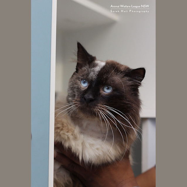 Photo of Mr Scratch