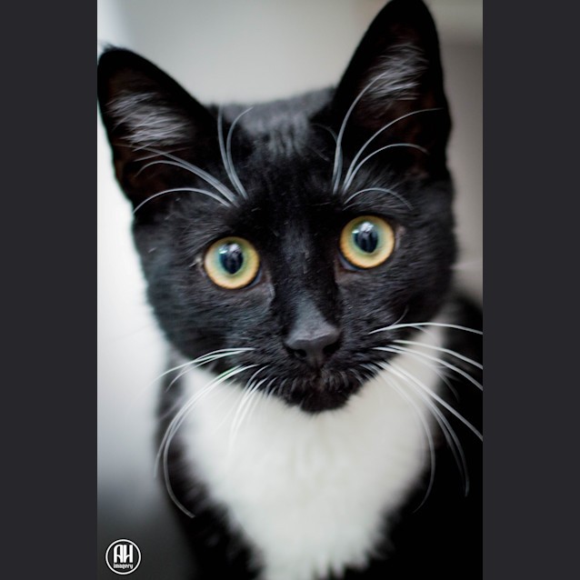 Photo of Paddy