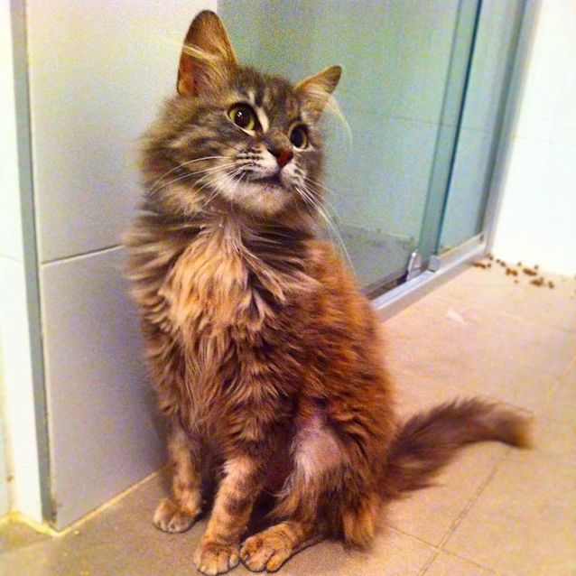 Photo of Raspberry