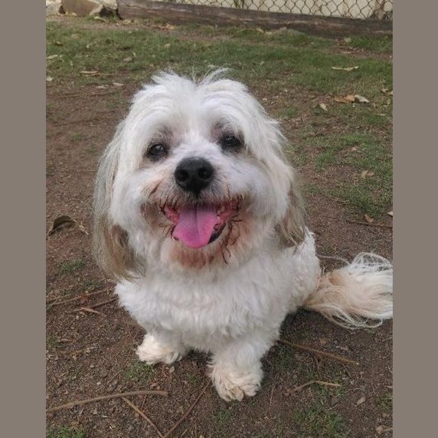 Photo of Pip