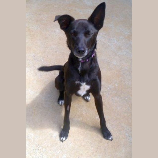Photo of Django