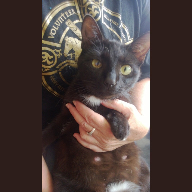 Photo of Ebony