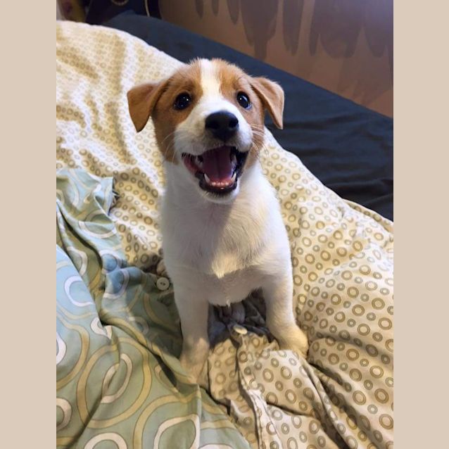 Photo of Cody Foster Carer Needed 