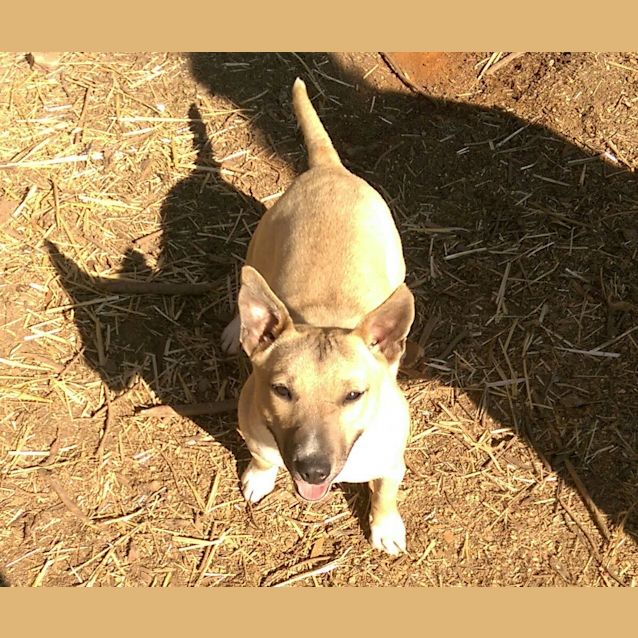 Photo of Zoe