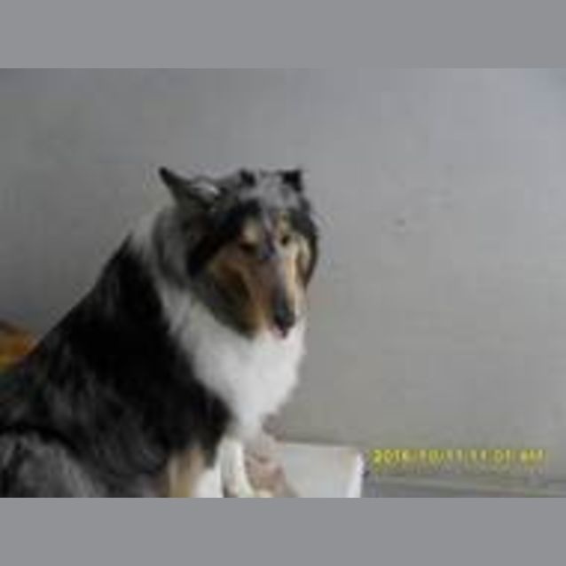 Photo of Kirra And Charlie