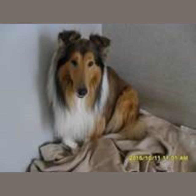 Photo of Kirra And Charlie