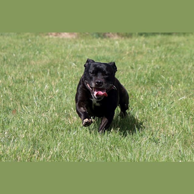 Photo of Nelly
