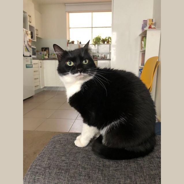 Photo of Charlotte   Located In St Kilda East