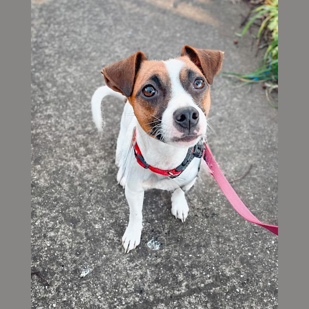 Photo of Lulu