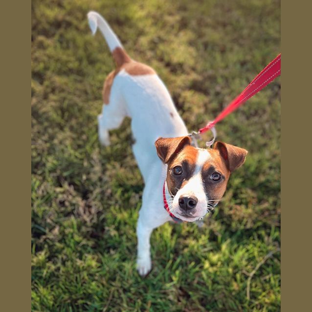 Photo of Lulu
