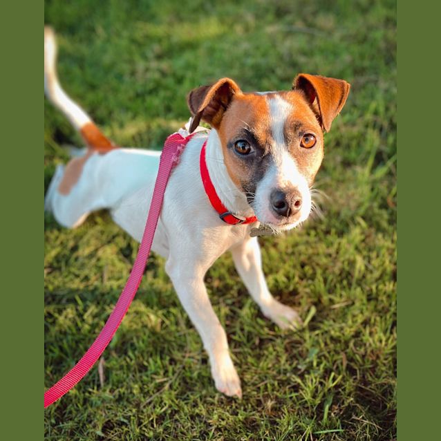 Photo of Lulu