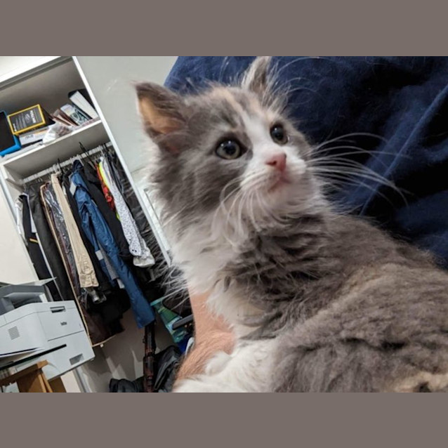 Photo of Mabel