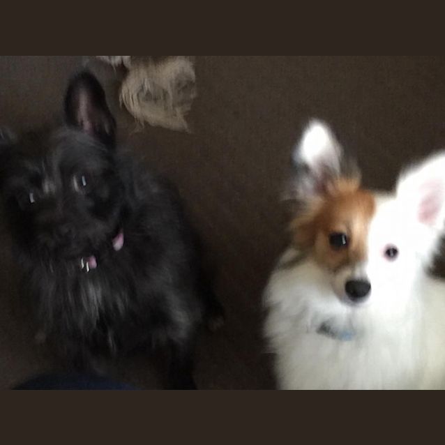 Photo of Hope (And Sheldon)