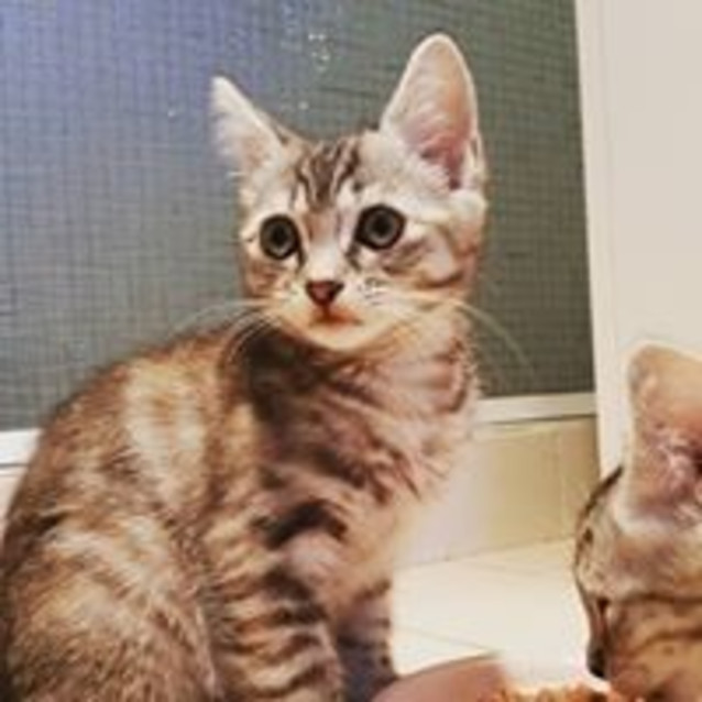 Photo of Maggie