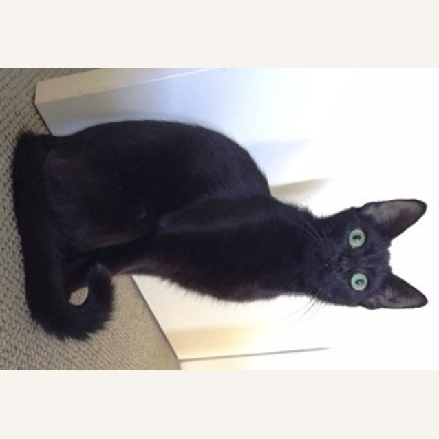 Photo of Ebby