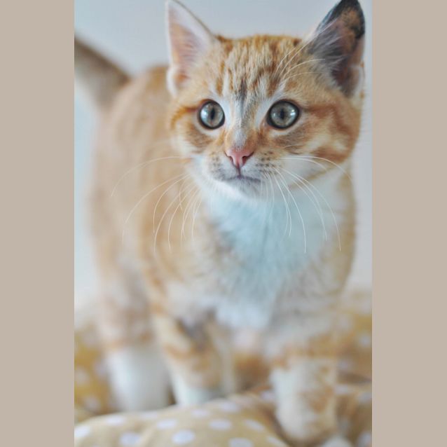 Photo of Lucas