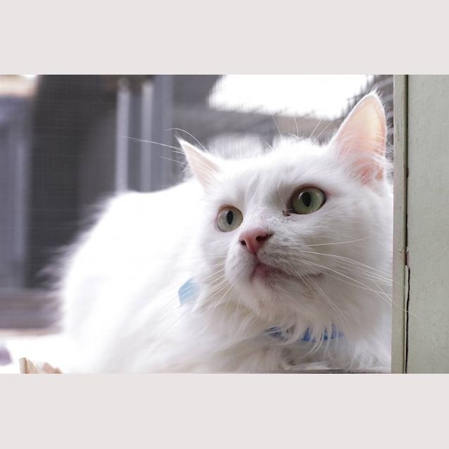 Photo of Jeremie (4290)