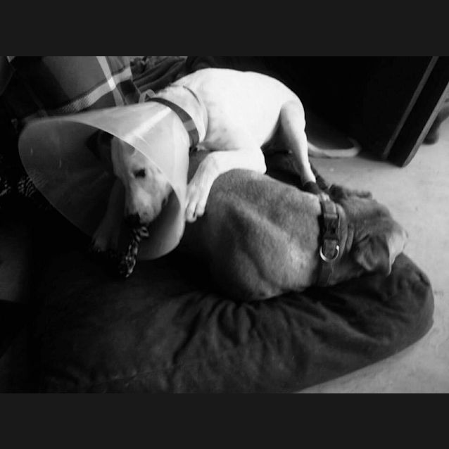 Photo of Jax