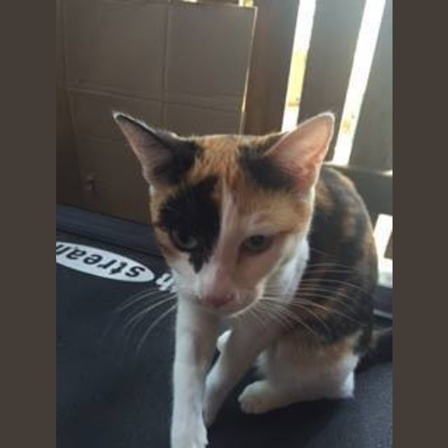 Photo of Freyda