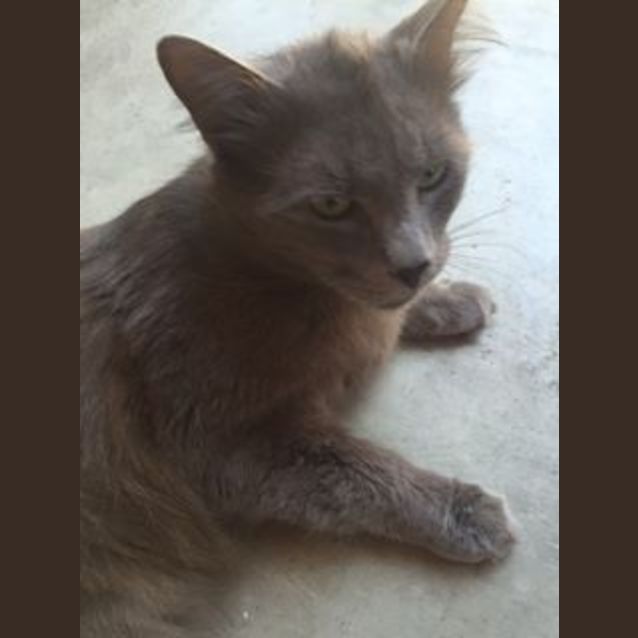 Photo of Greyson