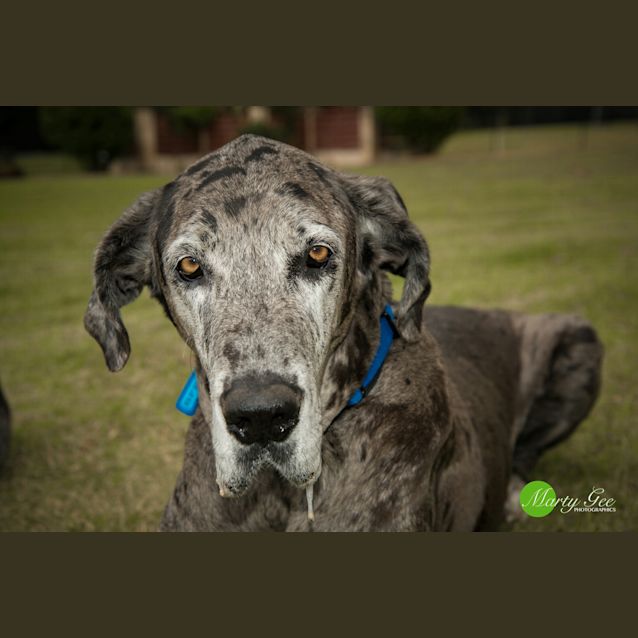 Photo of Ralph