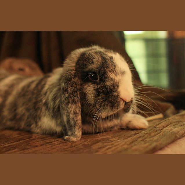 Photo of Maggie & Floyd