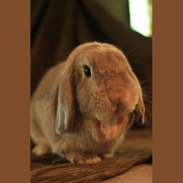 Photo of Maggie & Floyd