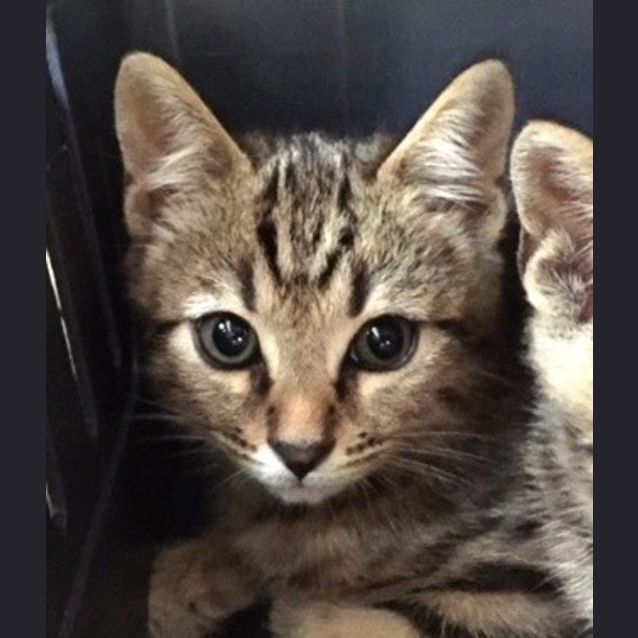 Photo of Bill