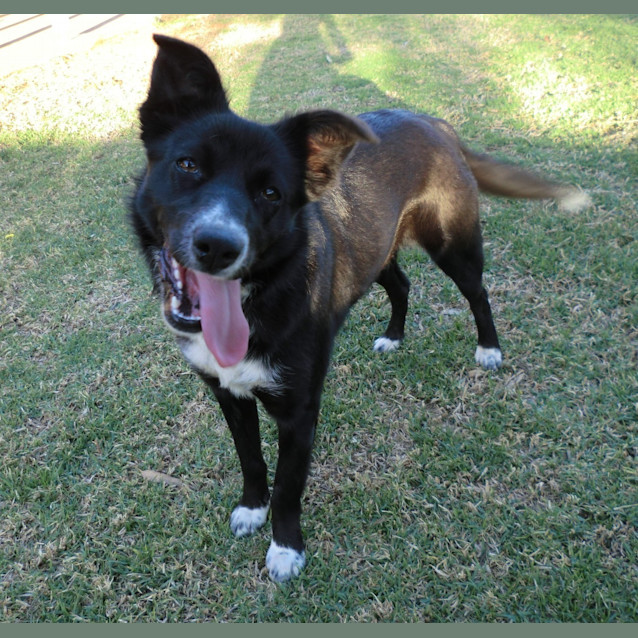 Photo of Zip *On Trial In Her New Home*