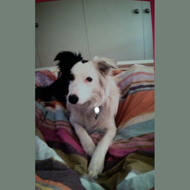Photo of Lucy