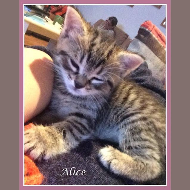 Photo of Alice