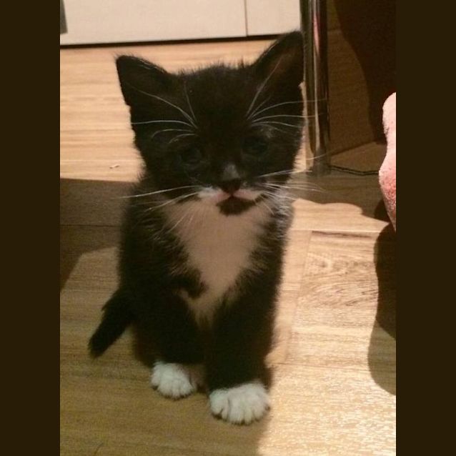 Photo of Jill Maree (Jilly)