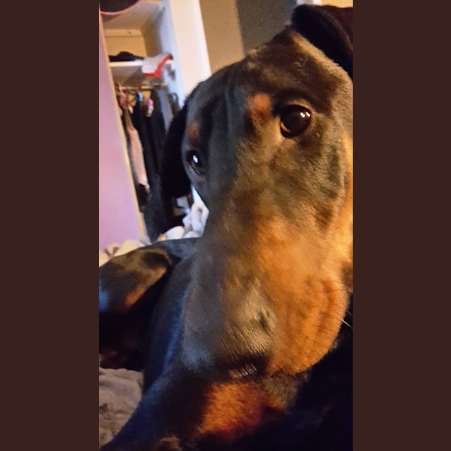 Photo of Derek
