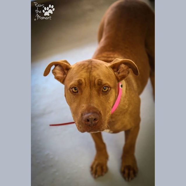 Photo of Milly (3954)