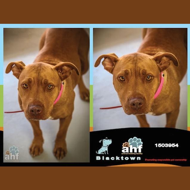 Photo of Milly (3954)