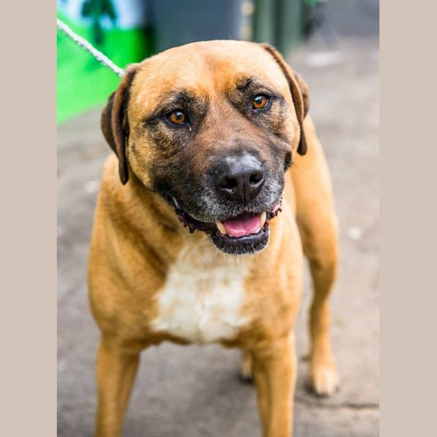 Photo of Big Bob (3443)