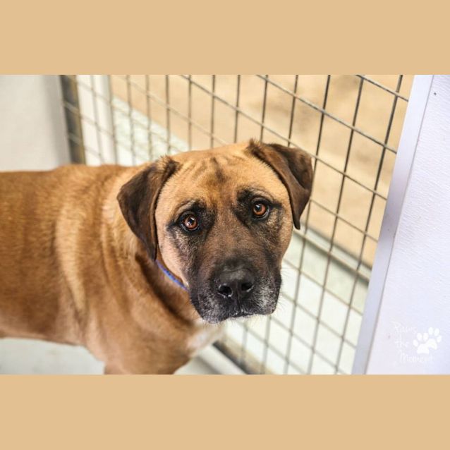 Photo of Big Bob (3443)