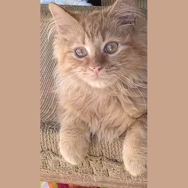 Photo of Donald