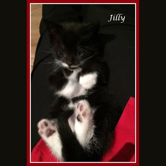 Photo of Jill Maree (Jilly)