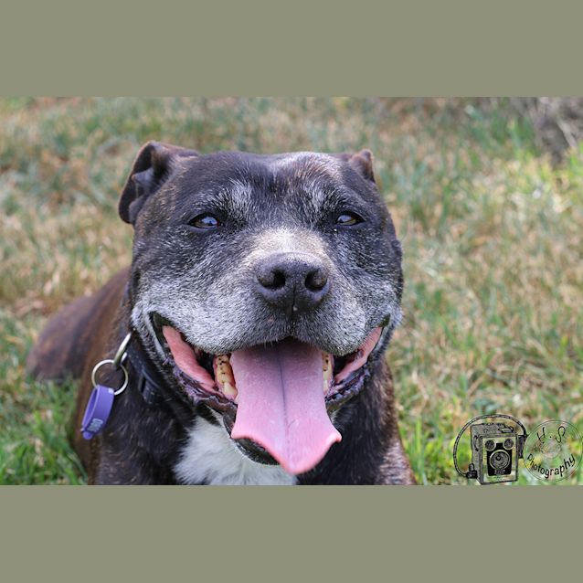 Photo of Max