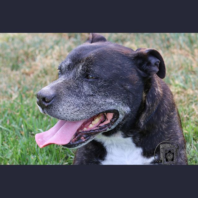 Photo of Max