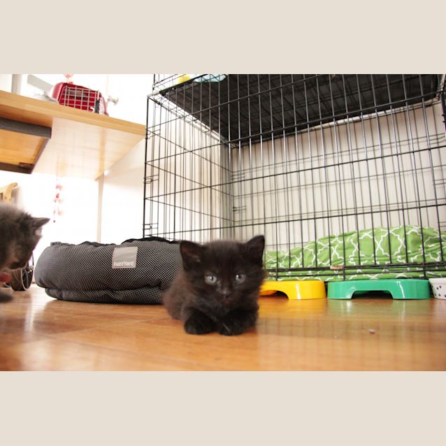 Photo of Miss Summer & Captain Blaze