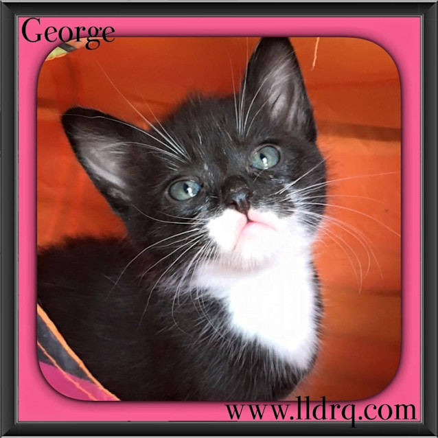 Photo of George