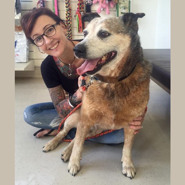 Photo of Ol' Bluey ** Adoption Pending ** $100 Jan Only!