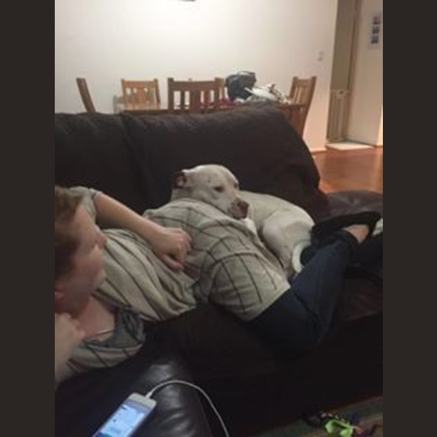Photo of Daisy 